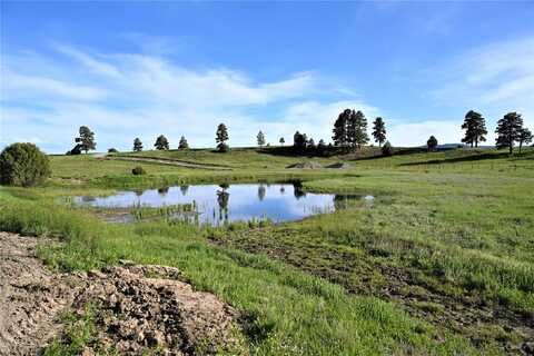 15476 HWY 64, Chama, NM 87520