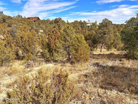 1582 Echo Circle, Heber, AZ 85928