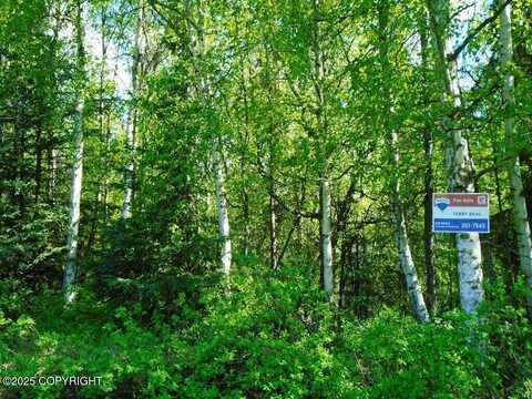 L1 Downey Finch Drive, Anchorage, AK 99516