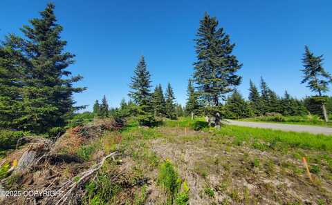 17573 Chefornak Street, Ninilchik, AK 99556