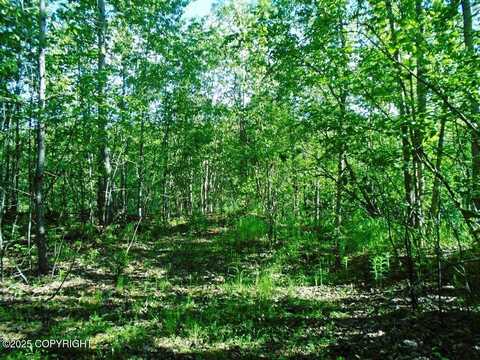 Tr 3 Park Drive, Chugiak, AK 99567