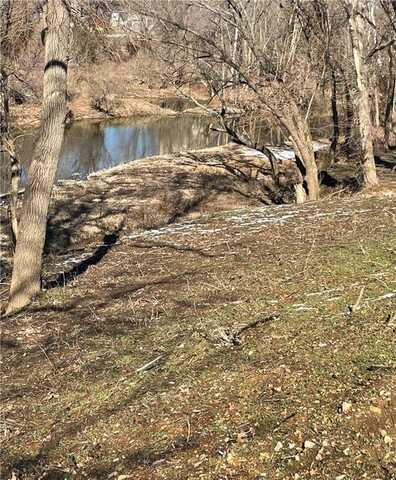 Lot 1 Cottage Brook CIR, Anderson, MO 64831