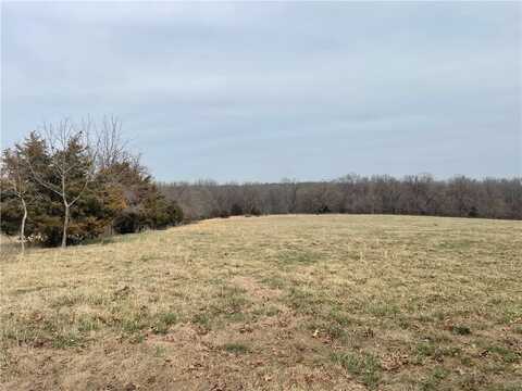 000 Mcdonald RD, Stella, MO 64867