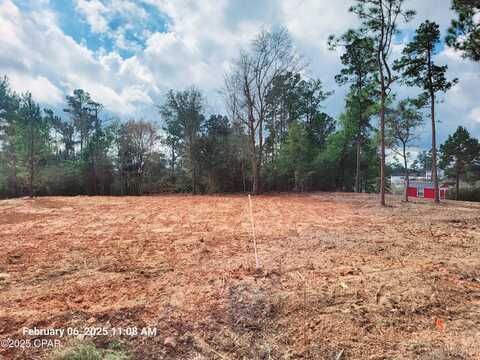 4653 Shankle Drive, Marianna, FL 32446