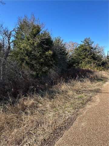 Tbd Lake View Loop, Somerville, TX 77879