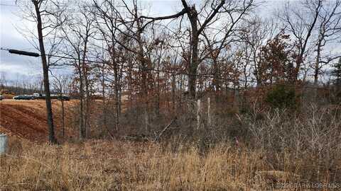 Lot 607 Twiggy Lane, Eldon, MO 65026