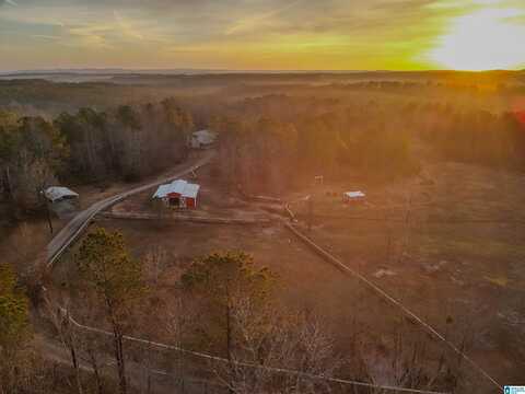 1129 COUNTY ROAD 252, CLANTON, AL 35046