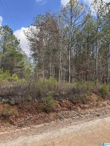 Lot 7 /6.5 Acre COUNTY ROAD 823, WADLEY, AL 36276