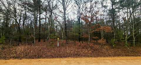 Lot 2 Bear Trail, Rison, AR 71665