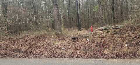 Lot 4 Smith Road, Rison, AR 71665