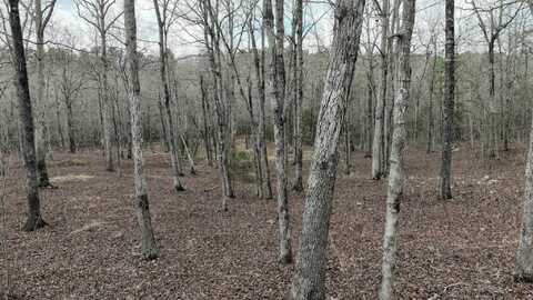 TBD Dogwood Springs Lane, Mena, AR 71953