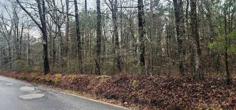 Lot 3 Smith Road, Rison, AR 71665