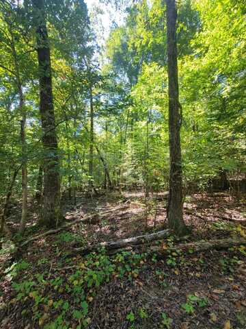 0 Fire Tower Rd Road, Cleveland, TN 37323