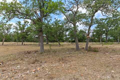 1231 Curtis Ln, Fredericksburg, TX 78624