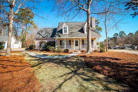 200 Brook Court, Chapin, SC 29036