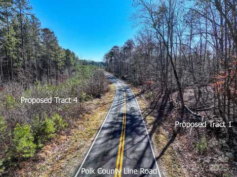 Tract 1 Polk County Line Road, Mill Spring, NC 28756