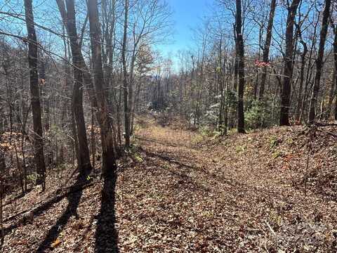 Tbd Eastatoe Gap Road, Rosman, NC 28772