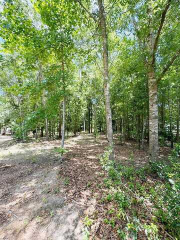 0 Bird Dog Lane, Cottageville, SC 29435