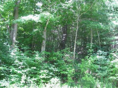 62054 State Route 415, Cohocton, NY 14826