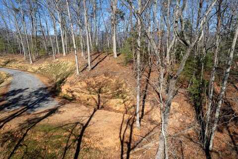 Lot 5 Osprey Mountain Way, Sylva, NC 28779