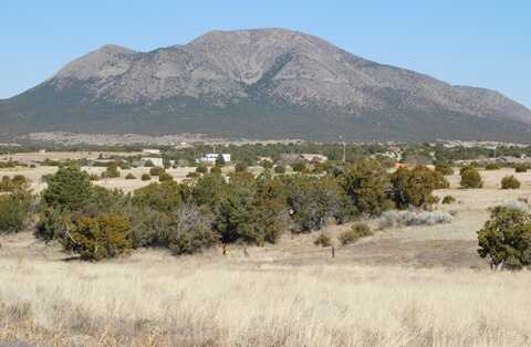 Alba Prado Court, Sandia Park, NM 87047