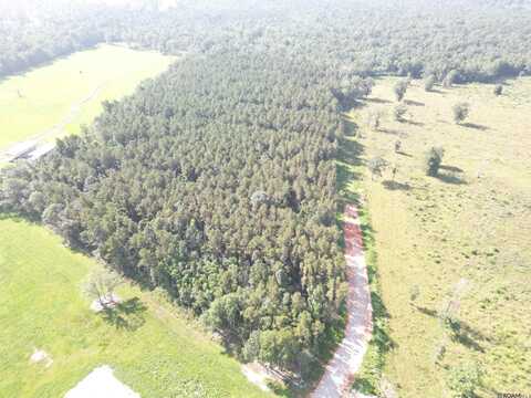 Lot 2 Critter Cove Ln, Livingston, LA 70754