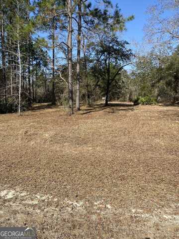 Lot-1 1185 Janells River Dr, Folkston, GA 31537