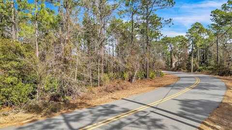 51 Pine Forest Drive, Jesup, GA 31546