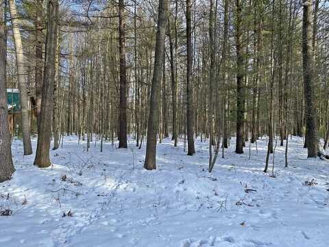 6790 Walnut Grove, Canadian Lakes, MI 49346