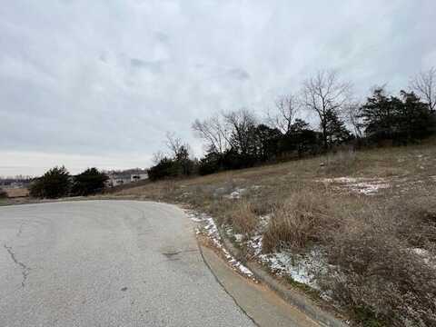 1412-1414 S Tree Top Court, Ozark, MO 65721