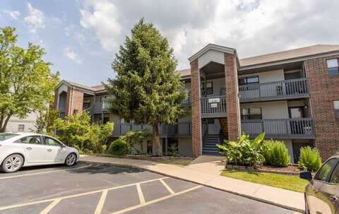 146 Bunker Ridge Drive, Branson, MO 65616