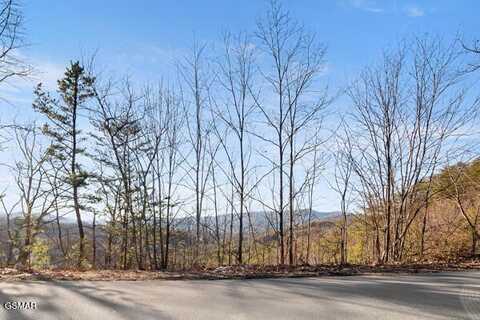 Lot 6 Pine Mountain Way, Sevierville, TN 37862