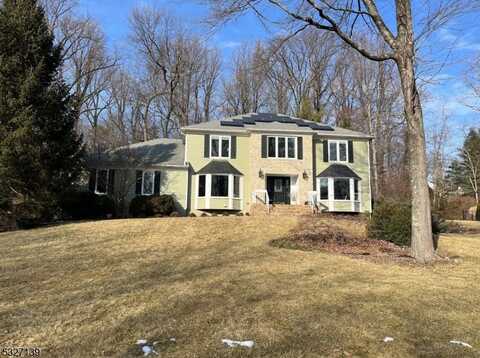 17 Carton Rd, Morris, NJ 07960