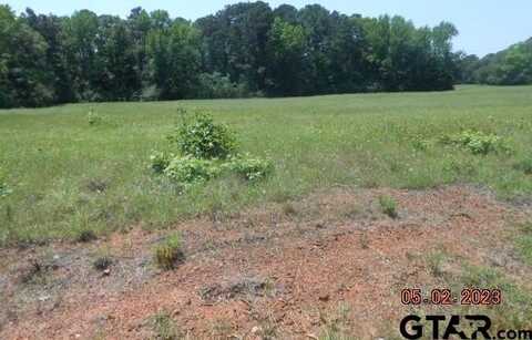 Lot 4 5.287 ac CR 217, Henderson, TX 75652