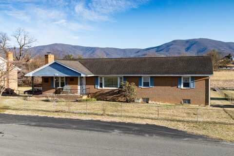 287 AL GOOD DR, STANLEY, VA 22851