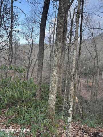 Goose Creek Rd, Seymour, TN 37865