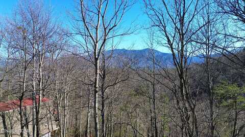 Cove, Gatlinburg, TN 37738