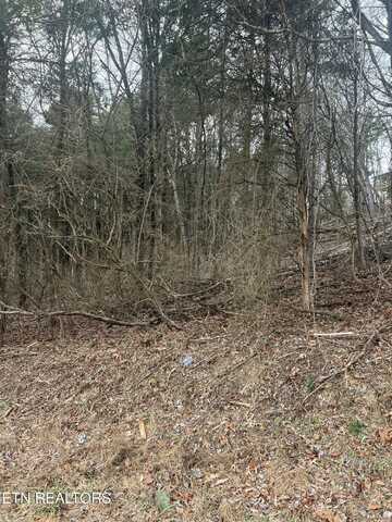 306 Kawga Trace, Loudon, TN 37774