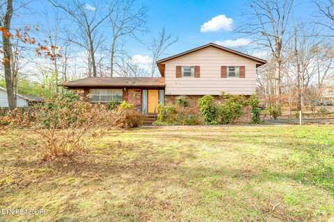 1113 Burning Tr, Knoxville, TN 37909