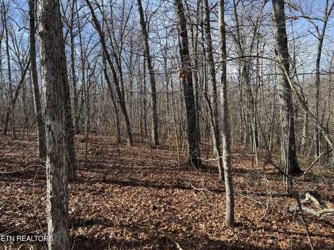 Lot 38 Crystal Point, Monterey, TN 38574