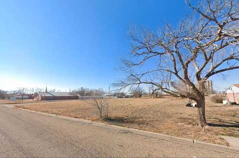 312 S Gaines Avenue, Tulia, TX 79088