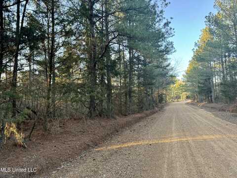 County Road 1113, Kosciusko, MS 39090