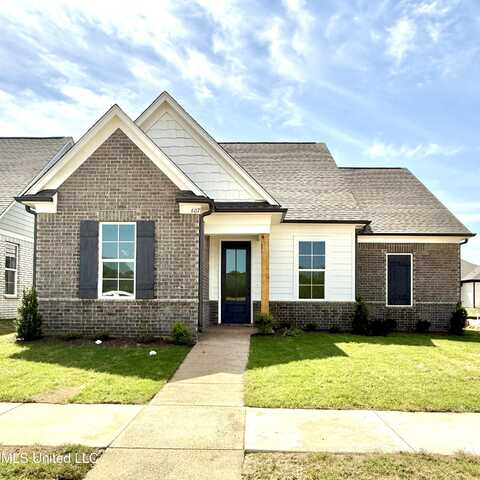 607 Sunflower Street, Nesbit, MS 38651
