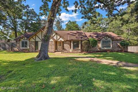 101 Jill Cv Cove, Clinton, MS 39056