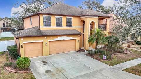 1805 ABBEY TRACE DRIVE, DOVER, FL 33527