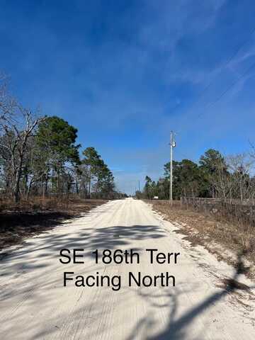 Tbd SE 186 TERRACE, MORRISTON, FL 32668