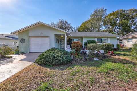 1487 DUNDEE DRIVE, PALM HARBOR, FL 34684