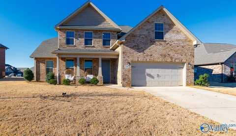 104 Cove Brook Drive, Meridianville, AL 35759