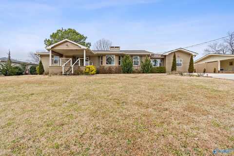 440 Warrenton Shores Drive, Guntersville, AL 35976