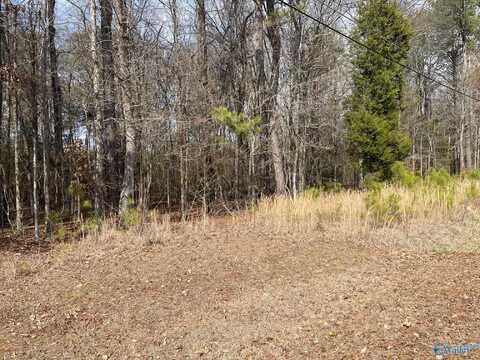 Lot 4 Indian Lake Drive, Etowah, AL 35906